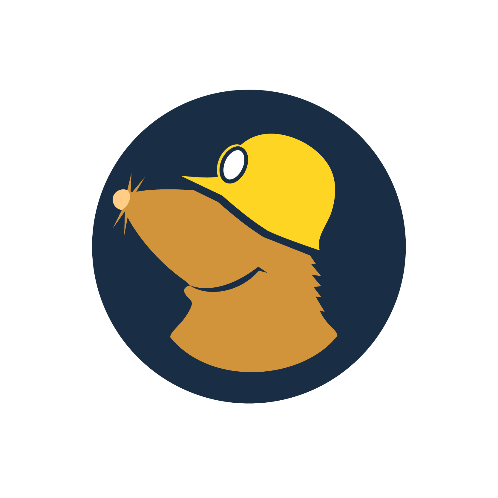 Mullvad VPN Logo Color negative